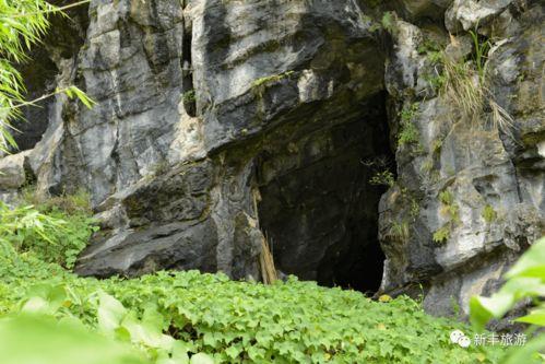 娱乐吃瓜村,揭秘娱乐圈背后的那些事儿  第1张